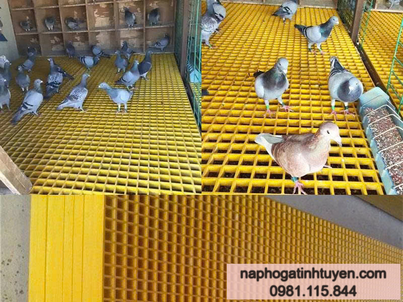 Tấm lót sàn composite