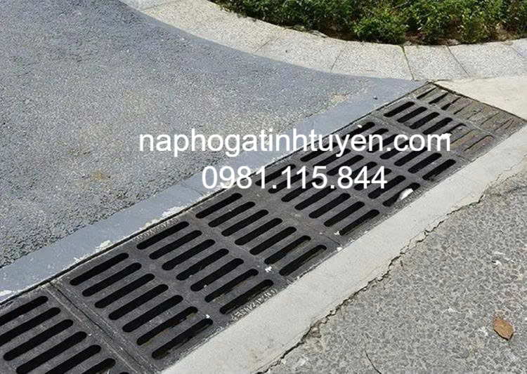 Lưới Chắn Rác